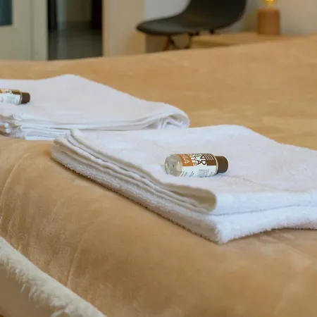 Casa Olimpica - Inalpi Arena Stadio Olimpico 公寓 *